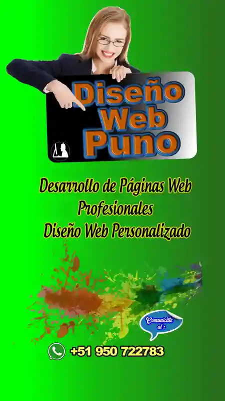 Desarrollo de paginas web profesionales, Diseño web personalizado